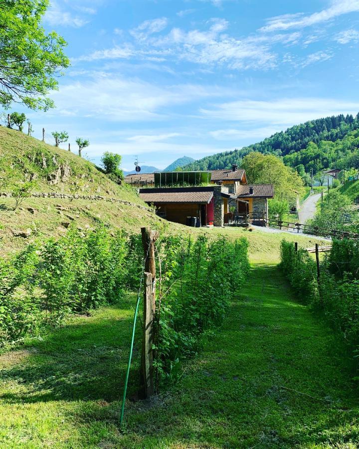 Agriturismo Il Talento Nella Quiete Castiglione dʼIntelvi Exteriör bild
