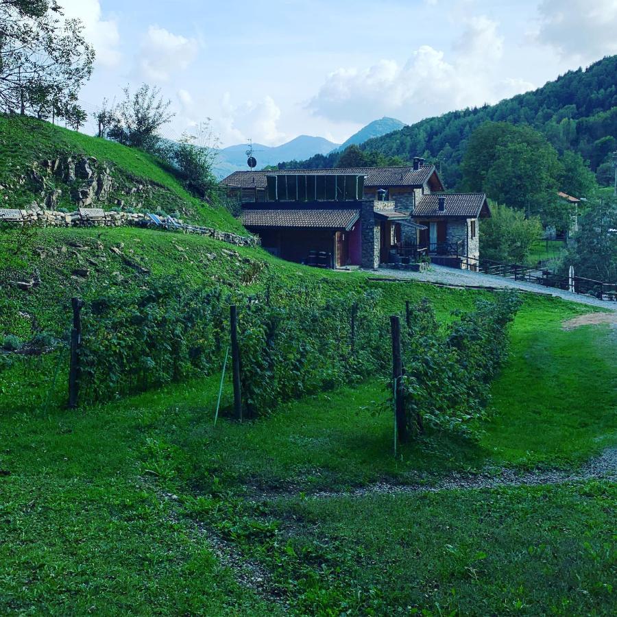 Agriturismo Il Talento Nella Quiete Castiglione dʼIntelvi Exteriör bild
