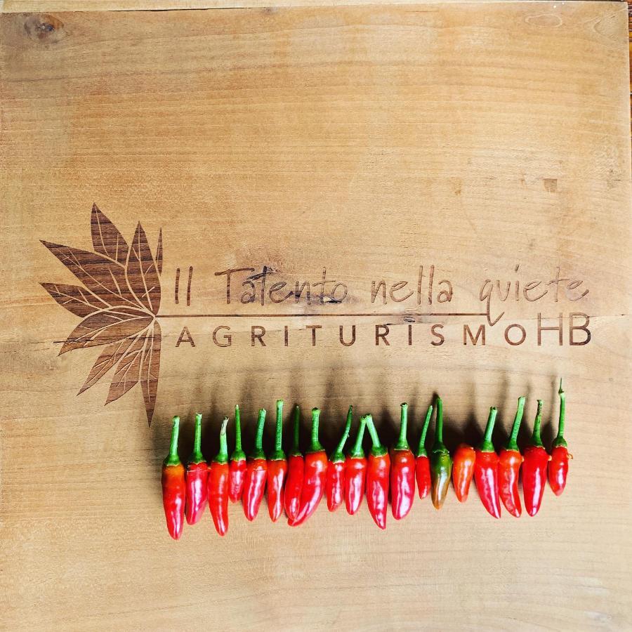 Agriturismo Il Talento Nella Quiete Castiglione dʼIntelvi Exteriör bild