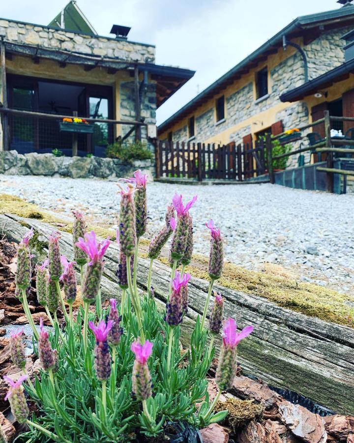Agriturismo Il Talento Nella Quiete Castiglione dʼIntelvi Exteriör bild