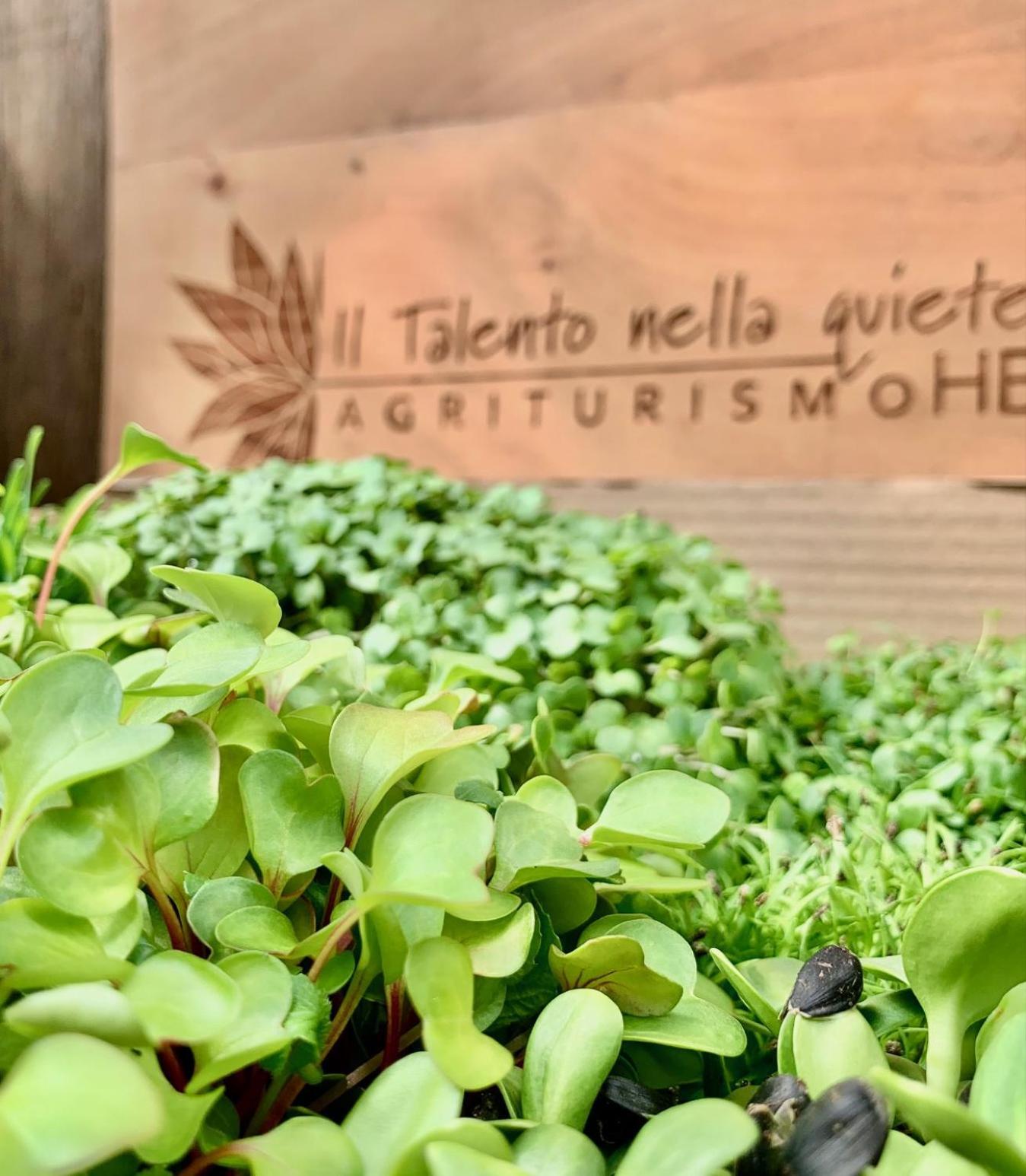 Agriturismo Il Talento Nella Quiete Castiglione dʼIntelvi Exteriör bild