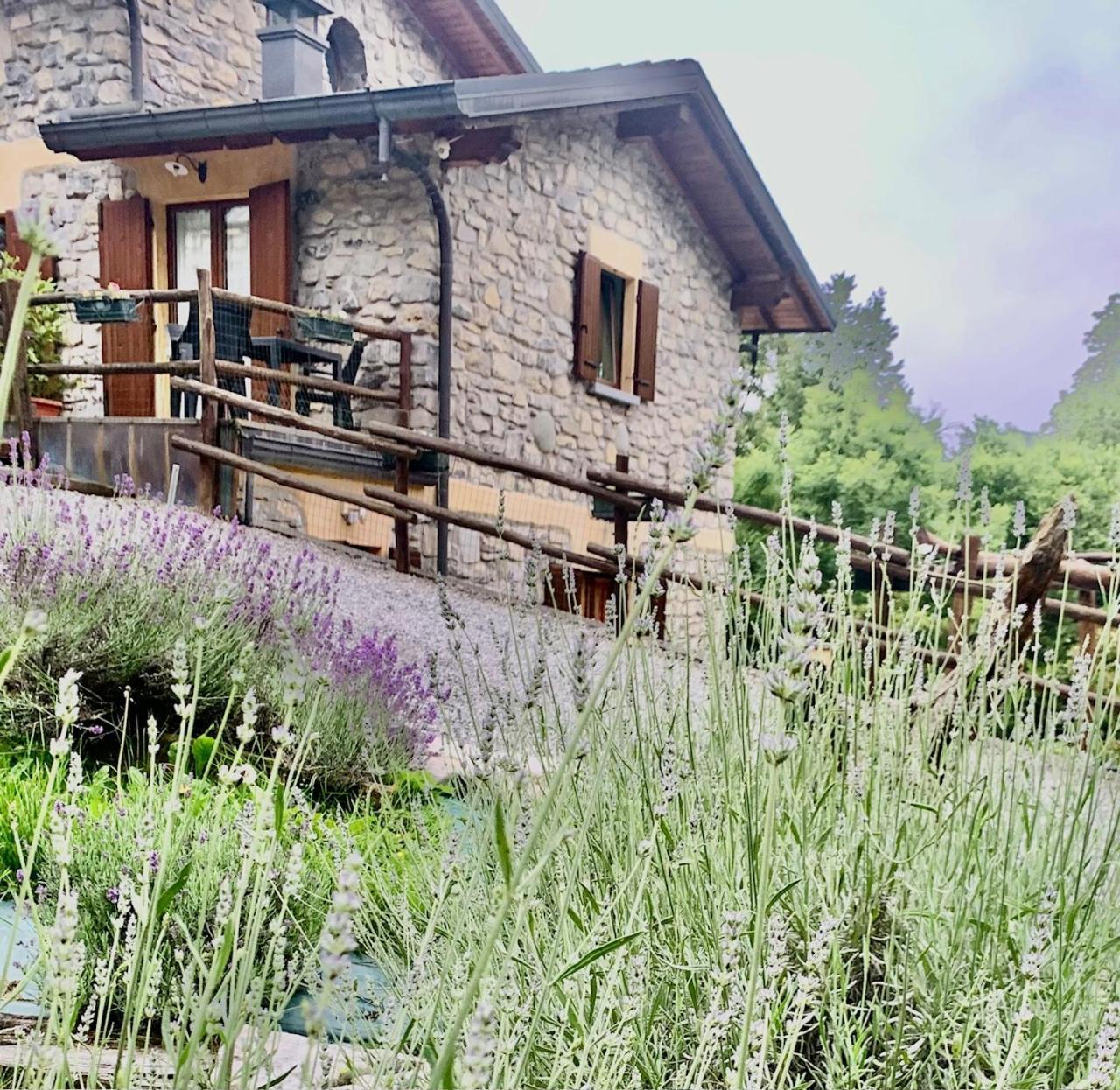 Agriturismo Il Talento Nella Quiete Castiglione dʼIntelvi Exteriör bild
